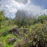 Продажа Участок, пос. Маштага, Сабунчу район 6