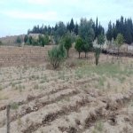 Satılır Torpaq Sumqayıt 5
