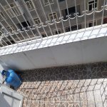 Kirayə (aylıq) 2 otaqlı Yeni Tikili, Masazır, Abşeron rayonu 13