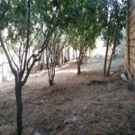 Satılır Torpaq Sumqayıt 2