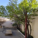 Satılır 3 otaqlı Həyət evi/villa, Hövsan qəs., Suraxanı rayonu 6