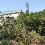 Satılır 3 otaqlı Həyət evi/villa, Hökməli, Abşeron rayonu 13