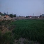 Satılır Torpaq, Digah, Abşeron rayonu 3