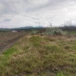 Satılır Torpaq Quba 1