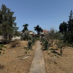 Satılır Torpaq, Şüvəlan, Xəzər rayonu 9