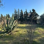 Продажа Участок, Шювалан, Хязяр район 8