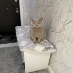 Продажа 2 комнатная Новостройка Хырдалан 7