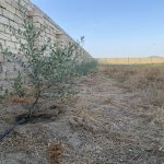 Satılır Torpaq, Nardaran qəs., Sea Breeze, Sabunçu rayonu 23