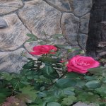 Satılır 4 otaqlı Həyət evi/villa, Lökbatan qəs., Sədərək ticarət mərkəzi, Qaradağ rayonu 5