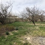 Satılır Torpaq, Saray, Abşeron rayonu 14