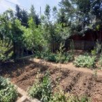 Satılır Torpaq, Avtovağzal metrosu, Sulutəpə qəs., Binəqədi rayonu 5