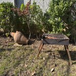 Посуточно 4 комнатная Дома/Виллы Ленкорань 18