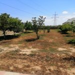 Satılır 10 otaqlı Həyət evi/villa, Saray, Abşeron rayonu 25