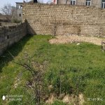 Satılır Torpaq, Mehdiabad, Abşeron rayonu 16