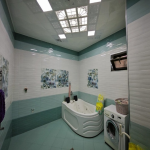 Satılır 10 otaqlı Həyət evi/villa, Xətai metrosu, H.Aslanov qəs., Xətai rayonu 18