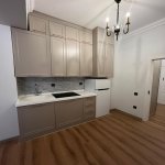 Kirayə (aylıq) 2 otaqlı Yeni Tikili, 28 May metrosu, Nəsimi rayonu 5