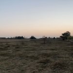 Satılır Torpaq, Nardaran qəs., Sabunçu rayonu 2