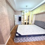 Kirayə (aylıq) 2 otaqlı Yeni Tikili, Nizami metrosu, 8-ci kilometr, Nizami rayonu 15