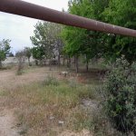 Satılır Torpaq, Ramana qəs., Sabunçu rayonu 2