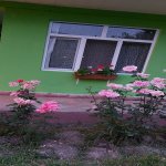 Kirayə (günlük) 2 otaqlı Həyət evi/villa Quba 13