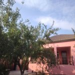 Satılır 4 otaqlı Bağ evi, Saray, Abşeron rayonu 16