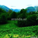 Kirayə (günlük) 3 otaqlı Həyət evi/villa Lerik 5