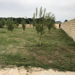 Satılır 3 otaqlı Həyət evi/villa Qəbələ 9