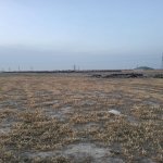 Satılır Torpaq, Məhəmmədli, Abşeron rayonu 1
