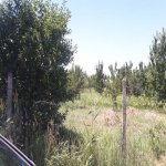 Satılır Torpaq Quba 15