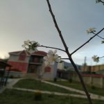 Kirayə (günlük) 4 otaqlı Həyət evi/villa Qəbələ 3