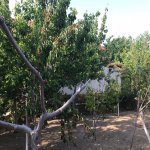 Satılır 10 otaqlı Həyət evi/villa, Novxanı, Abşeron rayonu 33