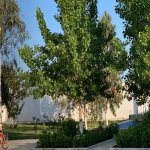 Satılır 6 otaqlı Bağ evi, Bilgəh qəs., Sabunçu rayonu 18
