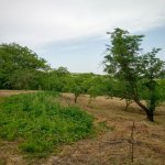 Satılır 3 otaqlı Həyət evi/villa İsmayıllı 17
