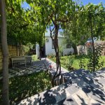 Kirayə (günlük) 3 otaqlı Həyət evi/villa Qəbələ 16