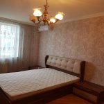 Kirayə (aylıq) 2 otaqlı Yeni Tikili, Nəriman Nərimanov metrosu, Heydər Əliyev Mərkəzi, Nərimanov rayonu 6