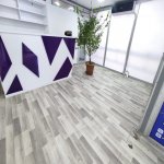 Kirayə (aylıq) 7 otaqlı Ofis, Yasamal rayonu 4