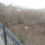 Kirayə (aylıq) 3 otaqlı Həyət evi/villa, Yasamal rayonu 2