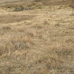 Satılır Torpaq, Novxanı, Abşeron rayonu 9