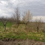 Satılır Torpaq Quba 18