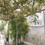Satılır 5 otaqlı Həyət evi/villa, Zaqulba, Xəzər rayonu 3
