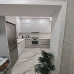 Kirayə (aylıq) 2 otaqlı Yeni Tikili, Nəriman Nərimanov metrosu, Nərimanov rayonu 4