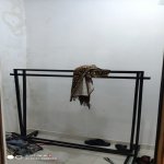 Kirayə (aylıq) Obyekt, Gənclik metrosu, Nəsimi rayonu 10