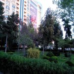 Kirayə (aylıq) 3 otaqlı Köhnə Tikili, Sahil metrosu, Səbail rayonu 2