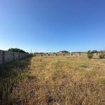 Satılır Torpaq, Qala, Xəzər rayonu 1