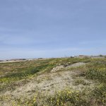 Satılır Torpaq, Masazır, Abşeron rayonu 4