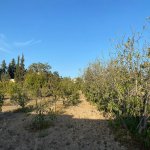 Продажа Участок, Шювалан, Хязяр район 5