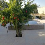 Продажа 5 комнат Дача, м. Короглу метро, пос. Сабунчу, Сабунчу район 6