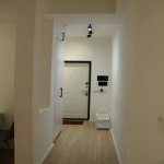 Kirayə (aylıq) 1 otaqlı Yeni Tikili, 28 May metrosu, Nəsimi rayonu 7