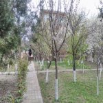 Продажа 8 комнат Дача, Новханы, Абшерон район 40