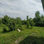 Satılır Torpaq Tərtər 17